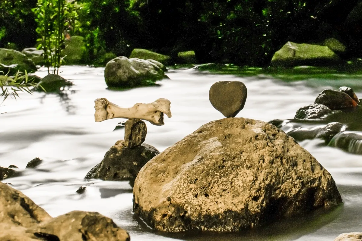 Heart-shaped stone and balanced animal bone on rocks in flowing water